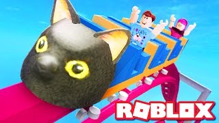 SIR MEOWS A LOT ROLLER COASTER IN ROBLOX