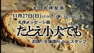 たとえ小犬でも（マタイの福音書15章21節～28節）