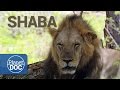 Full Documentary. Shaba. The Land of God and Devil