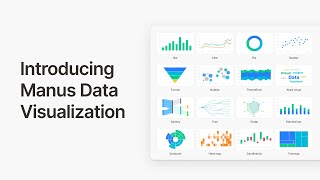 Introducing Data Visualization for Manus