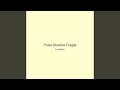 Pulse Shadow Fragile