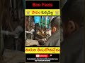 😭పాపం కుక్కపిల్ల😭 man saves puppy life humanity kindness youtubeshorts shorts