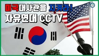 한미동맹강화 1인시위 cctv