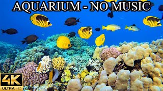 AQUARIUM 4K Coral Reef 4K Aquarium NO Music NO Ads - 12 Hours | Aquarium Sounds For Sleeping