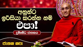 34) අනුන්ට ඉරිසියා කරන්න නම් එපා!  | දුම්මේධ ජාතකය | Jathaka Katha