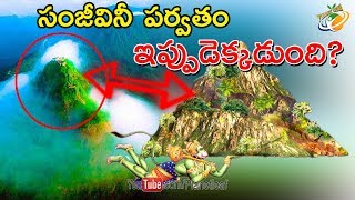 Facts About Sanjeevani, The Herb That Could Revive A Dead Person | సంజీవినీ జాడ దొరికిందా? | With CC