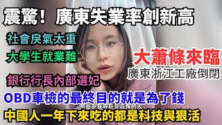 大蕭條來臨，廣東失業率創新高，工廠大量倒閉，大學生就業難，社會戾氣太重。銀行行長內部選妃。OBD車檢的最終目的是為了錢。中國人一年下來吃的都是科技與狠活。