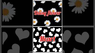 😍Choose Your Favourite 🥰💖 Daisy Flower vs Heart 🌼❤️#shortfeed #choose #chooseone #chooseyourchoice