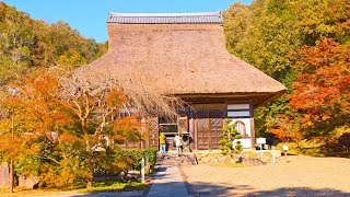 8K HDR 京都 綾部安国寺の紅葉 足利尊氏ゆかりの寺 Kyoto, Ayabe Ankokuji in Autumn