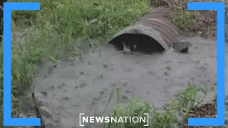 Study: No rainwater anywhere safe to drink due to ‘forever chemicals’  |  NewsNation Prime