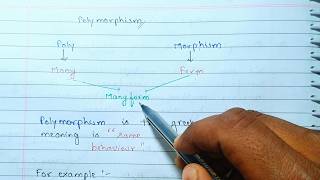 🔥 Runtime Polymorphism in Java Explained 🚀 | The OOPS Concept Everyone Gets Wrong!