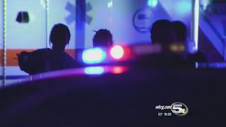 Manhunt Suspects Arrested with Stolen Guns, Ski Masks, Laser Sight in Vehicle