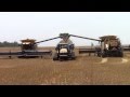 Big CLAAS Lexion Combines Harvesting Wheat