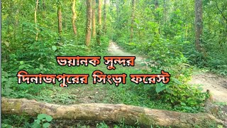 ভয়ানক সুন্দর দিনাজপুরের সিংড়া ফরেস্ট। very Danger place Dinajpur Shingra forest।। Nilkagoj