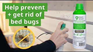 How to Prevent and Treat Bed Bugs with Permethrin Spray