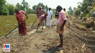 11 ദിവസം, ചെലവായത് രണ്ടര ലക്ഷം; ഫാം റോഡ് നിർമിച്ച് കർഷകർ | Kottayam Farm Road