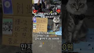 중국에서 유행하는 신박한 창업아이템   #Shorts