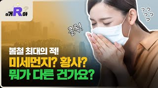 이거알아? 봄 철 최대의 적 미세먼지와 황사, 근데 둘의 차이점이 뭔지 알아?