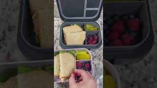 Turkey Club Sandwich #lunchboxrecipe #lunchbox #bentobox #lunchideas #schoollunch #bento #lunch