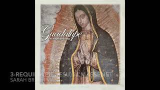 GUADALUPE una Virgen para todos  (Grabación aquí mostrada para su conocimiento sin monetizar)