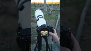 How to Shoot in Aperture Priority Mode