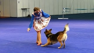 Танцы с собаками Россия - 2015. Dog Dancing. Canine Freestyle.