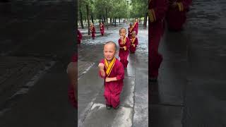 Shaolin Kids Very Hard Kung Fu Training Techniques 💖🤗🤩 #shorts #shaolin #wushu