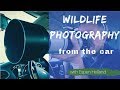 Wildlife Photography from the Car | Isle of Mull