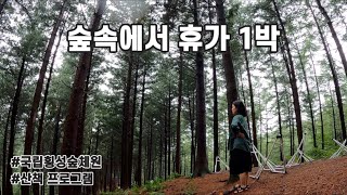 [1박 2일 횡성 가족 여행] 비오는 국립 횡성 숲체원에서 휴가보내기 / 횡성 한우, 앞말 J동 2층, 맨발 걷기