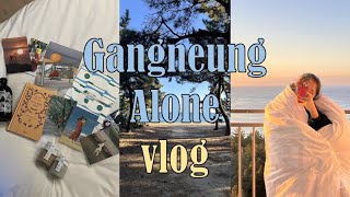 vlog.l 파워P의 1박2일 혼자 강릉 여행기 ༼ つ ◕_◕ ༽つ l 근데 얼레벌레 할 거 다 하는l 세인트존스호텔l고래책방l오아즈l오브더모먼트l르봉마젤l중앙시장l베니닭강정l두딩