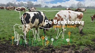 KOEIENDANS 2023 De Beekhoeve