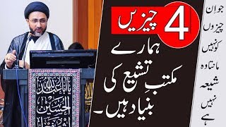 4  چیزیں ہمارے  مکتب تشیع کی بنیاد  ہیں۔  |علامہ سید شہنشاہ حسین نقوی