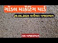 Gondal tal na bhav 2024 | તલ ના ભાવ | ઉનાળું તલ ના ભાવ  | Safed tal no bhav | તલ ના ભાવ | 29.06.2024