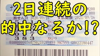 [宝くじ] ナンバーズ3の予想数字大盤振る舞い (2020年11月12日)