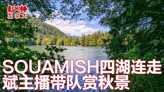 【斌主播户外】SQUAMISH四湖连走，爱丽丝湖密林中发现野生灵芝，湖边愉快的野餐，ALICE LAKE省立公园确实漂亮（欢迎订阅，点赞，转发）.m4v