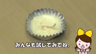 ☆miniサイエンスショー☆　冷蔵庫のなかのもので手作りろうそく！？