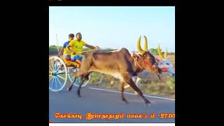 மீண்டும் அண்ணன் கருப்புதுரைவந்துட்டாரு