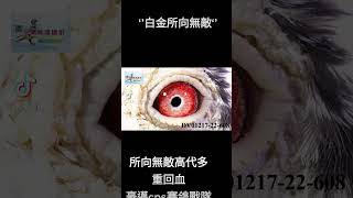 “所向無敵”高代近親多重回血