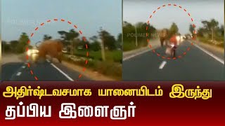 அதிர்ஷ்டவசமாக யானையிடம் இருந்து தப்பிய இளைஞர்- வைரலாகும் காட்சி |Elephant Chases Human