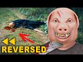 JOHN PORK found dead 5 - REVERSED VIDEO MOVIE