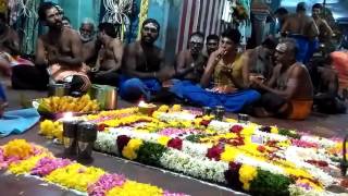 Pattukkottai karikadu ayyappan bazanai