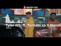 Tyler ICU ft. Tumelo za X Nandipha808 X Ceeka RSA - 