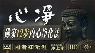 净土施工图大公开📜！12步打造心净净土，从‘心净’到‘佛土净’—重构净土与心灵的深层联系｜如说行｜一切功德净｜维摩诘经｜建设净土｜大乘教理｜唯心净土｜说法净｜发行｜禅门｜闲者知无涯【22/净土宗】