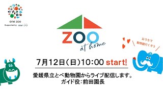 【LIVE】zoo at home 愛媛県立とべ動物園LIVE配信