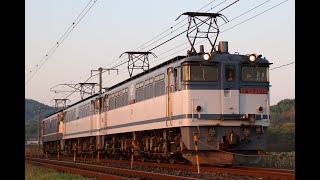 2020/4/30 単9072 EF65 2075+EF65 2127+EF65 2081 瀬戸～上道にて。