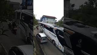 trip perdana bus the voltron qqtrans 🤣 #bus #busmania #basuri #subscribe