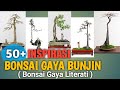 50+ Bunjin Style Bonsai Inspirations (Literati Style Bonsai)