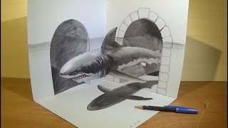 Drawing a White Shark Illusion - 3D Trick Art - Vamos