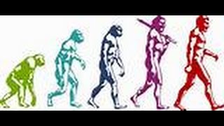 Evolution is Stupid - Kent Hovind