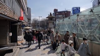 4K・ 【4K】Harajuku walk